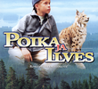 Poika ja ilves