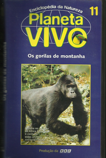 Planeta Vivo - Os Gorilas de Montanha - Poster / Capa / Cartaz - Oficial 1