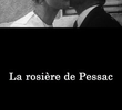 A Virgem de Pessac