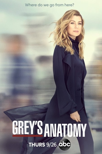 Poster de Série A Anatomia de Grey (16ª Temporada) (2019)