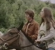 The Quarry
