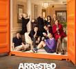 Arrested Development (4ª Temporada)
