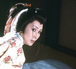 血闘