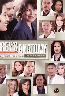 A Anatomia de Grey (10ª Temporada) - Poster / Capa / Cartaz - Oficial 1