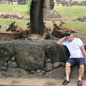 Foto de perfil de Dalton Brasil