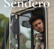 Dogs on the Sendero