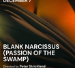 Blank Narcissus (Passion of the Swamp)