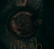 Wash