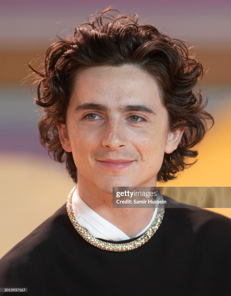 Timothée Chalamet - Foto 20