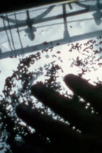 Poster de Curta Tables d’hiver (1979)