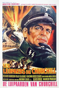 Os Leopardos da Guerra - Poster / Capa / Cartaz - Oficial 1