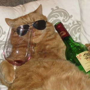 Foto de perfil de marujo