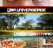 Vida de Calouro