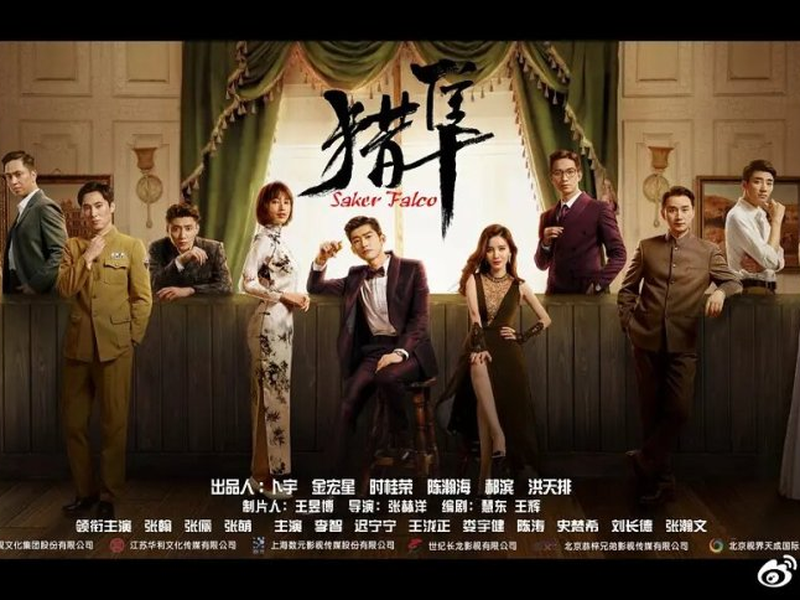 Foto 2 de Saker Falco