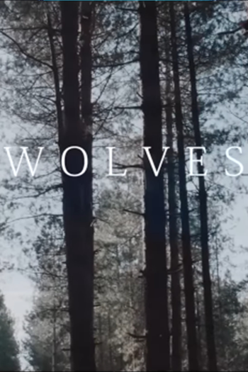  de Série Lobos (2016)