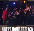 Muddy Waters & The Rolling Stones - Sweet Home Chicago