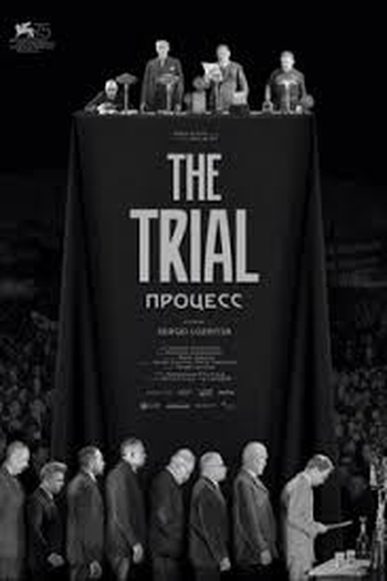 Poster de Filme The Trial (2018)