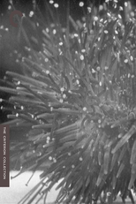 Les Oursins (Les Oursins)