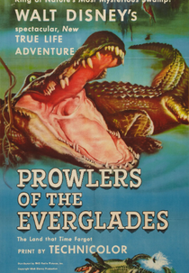Os Predadores de Everglades (Prowlers of the Everglades)