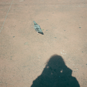 Foto de perfil de mariane