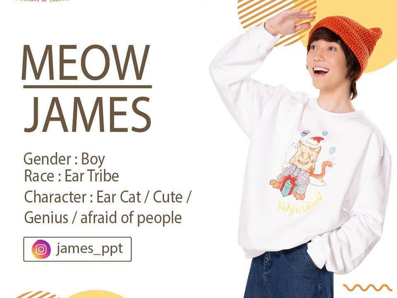 Foto 4 de Meow Ears Up