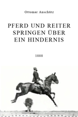 Pferd und Reiter Springen Über ein Hindernis (Pferd und Reiter Springen Über ein Hindernis)