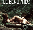 Le beau mec