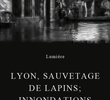 Lyon, sauvetage de lapins; innondations