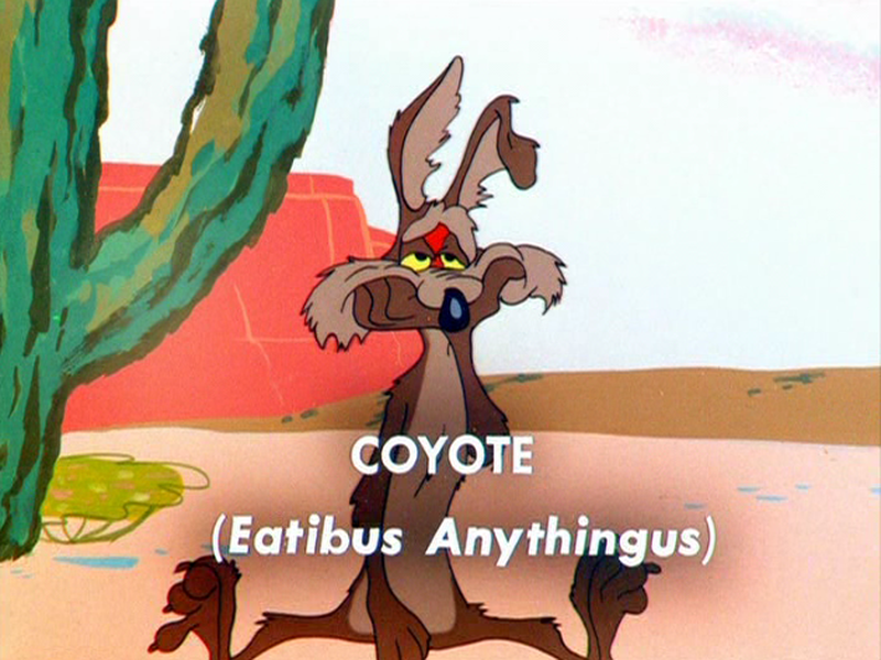 Foto 7 de Pare, Olhe e Dê o Fora