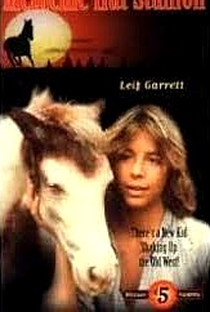 O Herói do Pony Express - Poster / Capa / Cartaz - Oficial 4