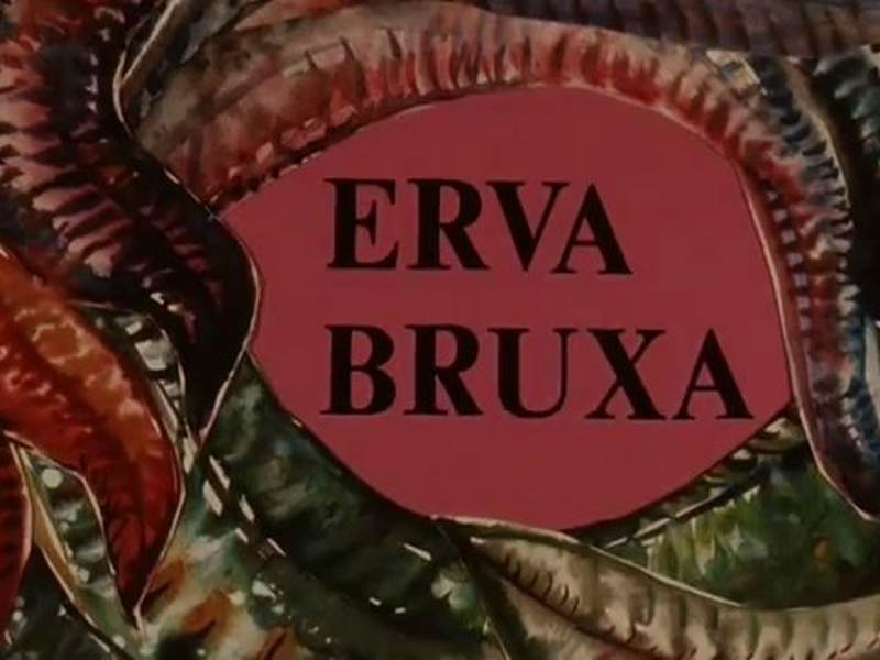 Foto 1 de Erva Bruxa