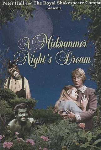 Poster 1 de Filme Sonho de uma Noite de Verão (1968)