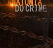 Anatomia do Crime (3ª Temporada)