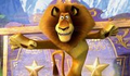 "Madagascar 3" mantém liderança nas bilheterias do Brasil - Cinema - iG