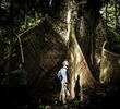 Amazonas Clandestino