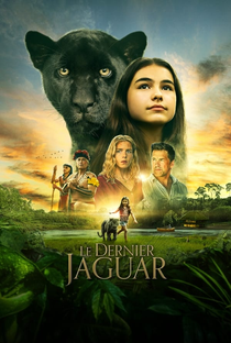 A última onça negra - Poster / Capa / Cartaz - Oficial 1