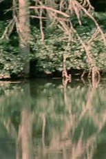 Porter Springs 3 (Porter Springs 3)