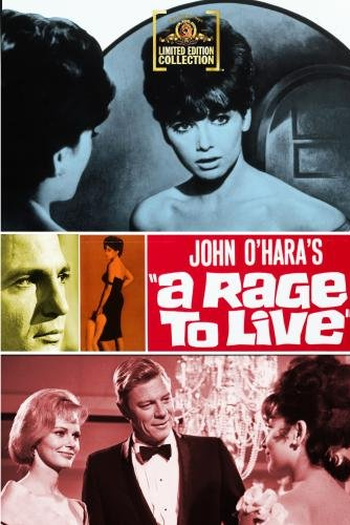 Poster de Filme Obsessão de Amar (1965)