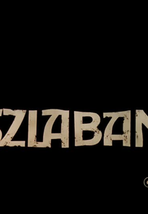 The Barrier (Szlaban)