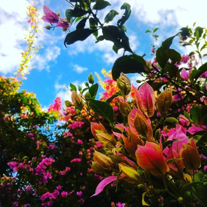 Foto de perfil de Bruna