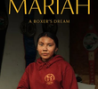 Mariah: A Boxer’s Dream
