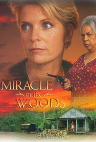 Poster 2 de Filme Milagre na Cabana (None)