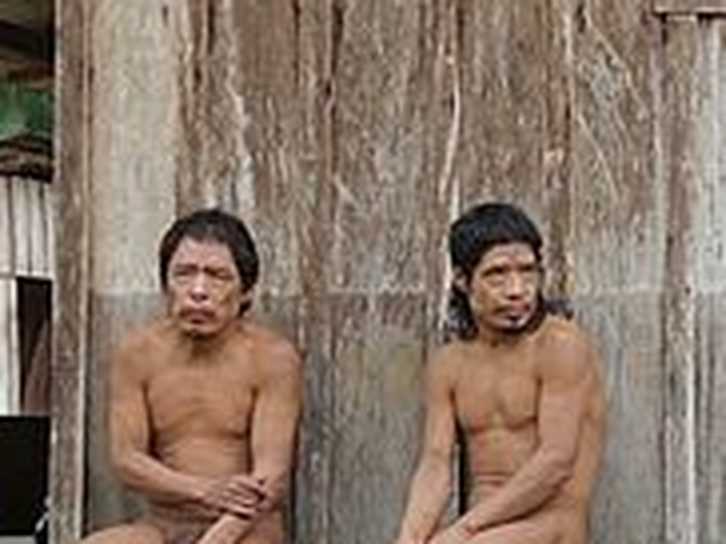 Foto 1 de Piripkura