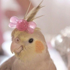 Foto de perfil de lu