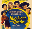 Moonlight and Cactus