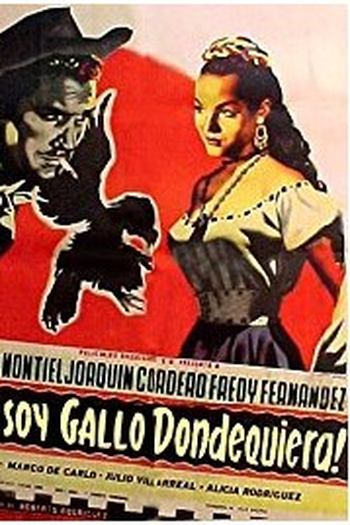 Poster de Filme A Bela e o Forasteiro (1953)
