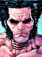 Wolverine Cansado