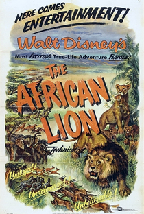 O Leão Africano - Poster / Capa / Cartaz - Oficial 2