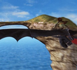 How to Start a Dragon Academy