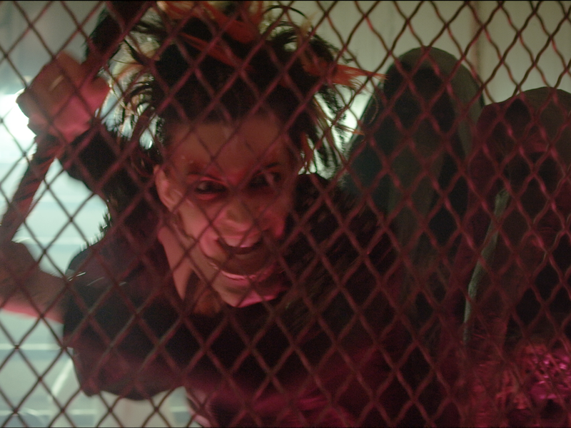 Foto 3 de Terror Extremo